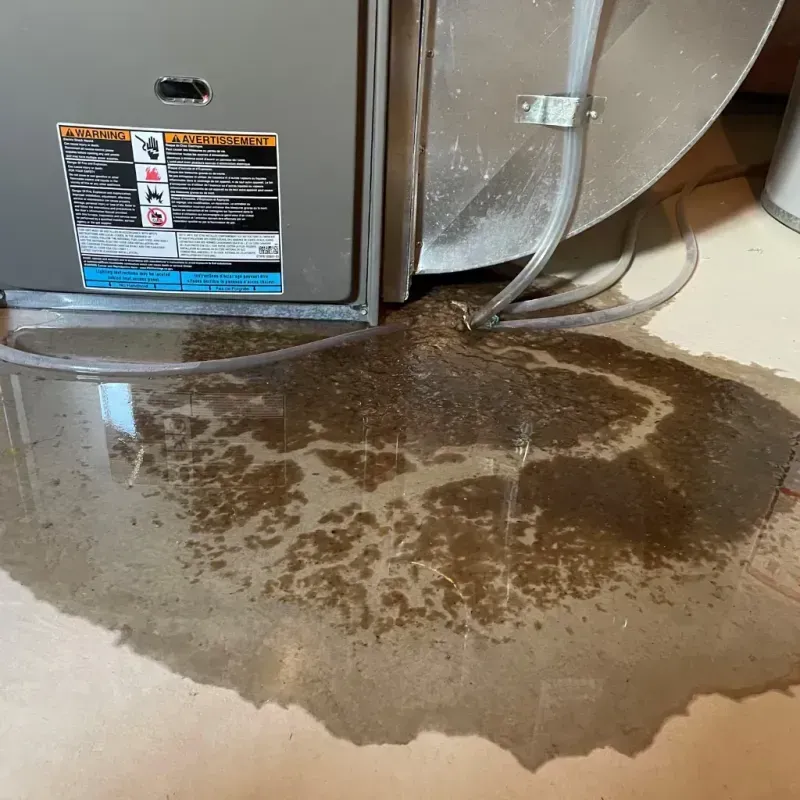 Appliance Leak Cleanup in Williamston, MI